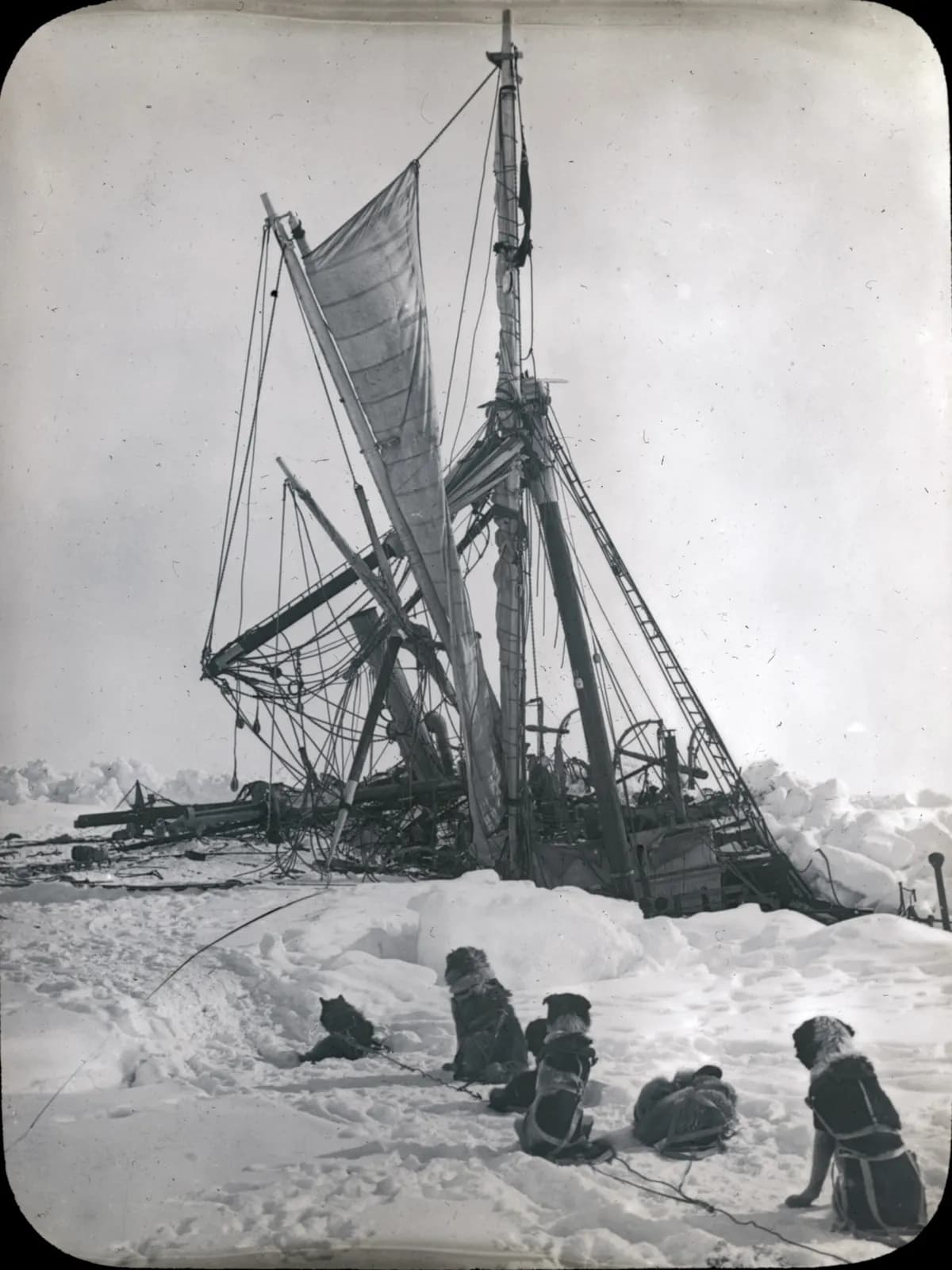The wrecked masts and rigging of Endurance leaning over the ice while sled dogs sit watching in the foreground.